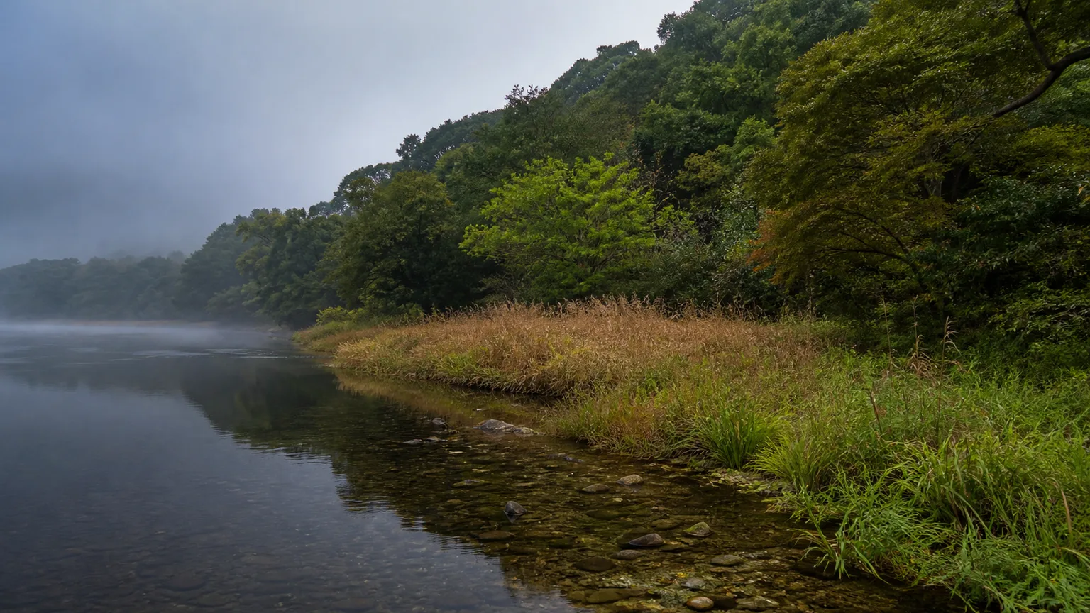 水辺の草地と森が接する静かな川岸