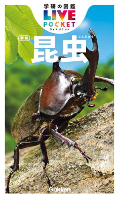 『学研の図鑑LIVEポケット 昆虫 新版』の表紙